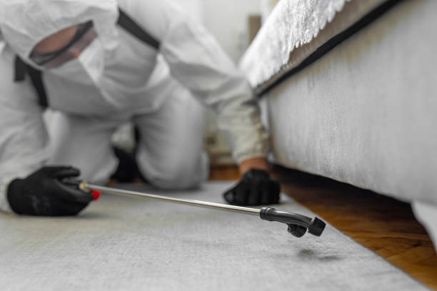 Professional Bed Bug Control technician working in Warren, AR